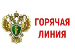 "Горячая линия"